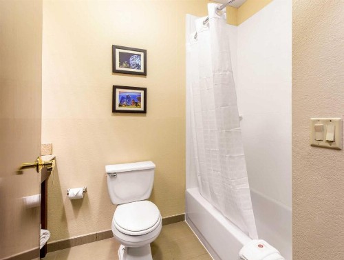 Comfort Inn & Suites IAH Bush Airport – East - image 15