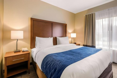 Comfort Inn & Suites IAH Bush Airport – East - image 16