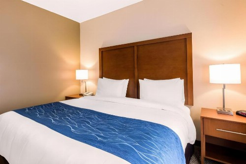 Comfort Inn & Suites IAH Bush Airport – East - image 17