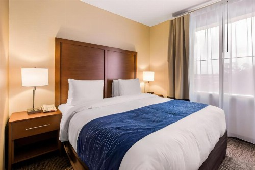 Comfort Inn & Suites IAH Bush Airport – East - image 23