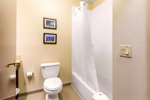 Comfort Inn & Suites IAH Bush Airport – East - image 28