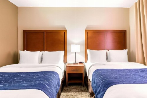 Comfort Inn & Suites IAH Bush Airport – East - image 35