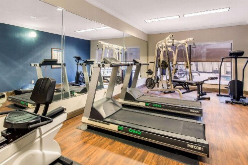 Comfort Inn & Suites IAH Bush Airport – East - image 7