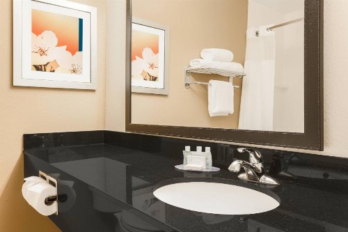 Fairfield Inn & Suites Houston Humble - image 19