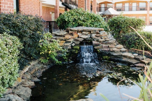 Winchester Inn and Suites Humble/IAH/North Houston - image 15