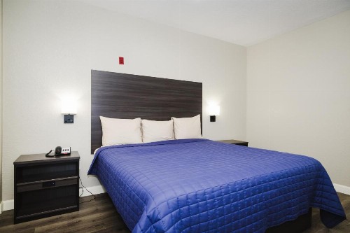 Winchester Inn and Suites Humble/IAH/North Houston - image 29