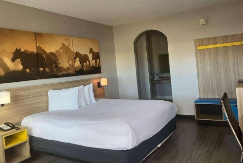 Days Inn by Wyndham Humble/Houston Intercontinental Airport - image 20