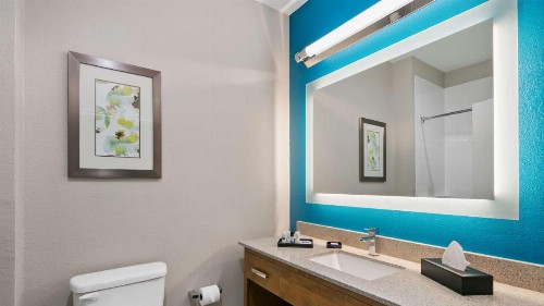 Best Western Plus Houston Atascocita Inn & Suites - image 23