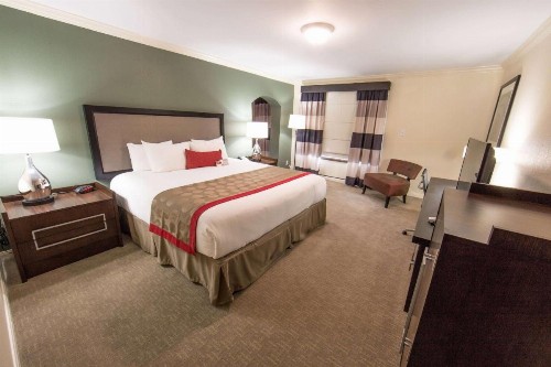 Ramada by Wyndham Houston Intercontinental Airport East - image 21