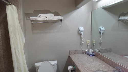 Regency Inn and Suites Humble - image 2