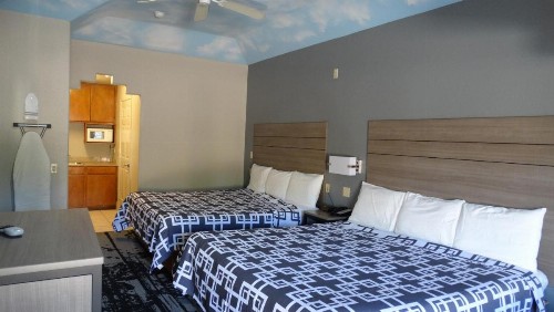 Regency Inn and Suites Humble - image 3