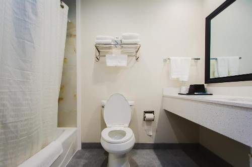 Scottish Inn & Suites - Atascocita - image 20
