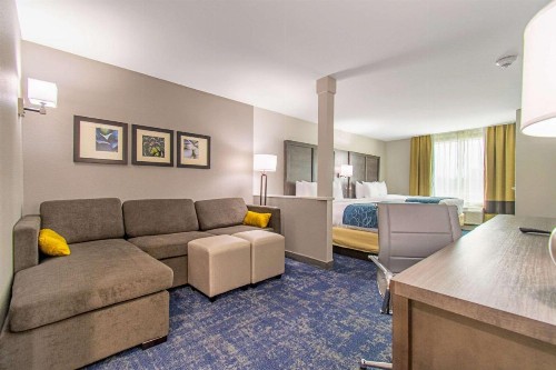 Comfort Suites Humble Houston at Beltway 8 - image 11