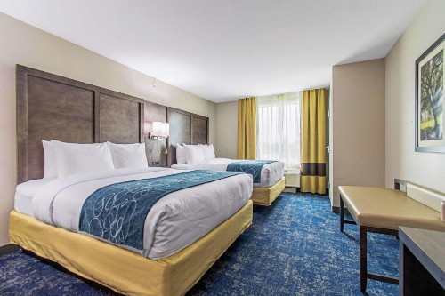 Comfort Suites Humble Houston at Beltway 8 - image 12
