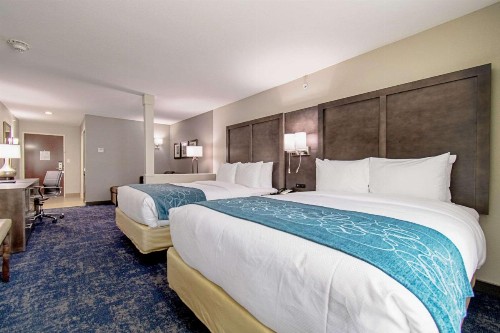 Comfort Suites Humble Houston at Beltway 8 - image 13