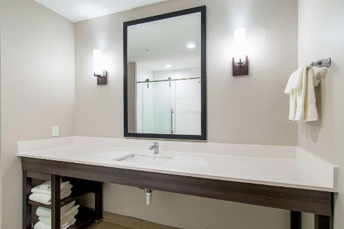 Comfort Suites Humble Houston at Beltway 8 - image 19