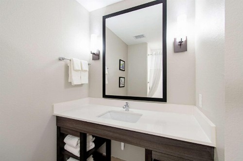 Comfort Suites Humble Houston at Beltway 8 - image 21
