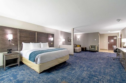 Comfort Suites Humble Houston at Beltway 8 - image 4