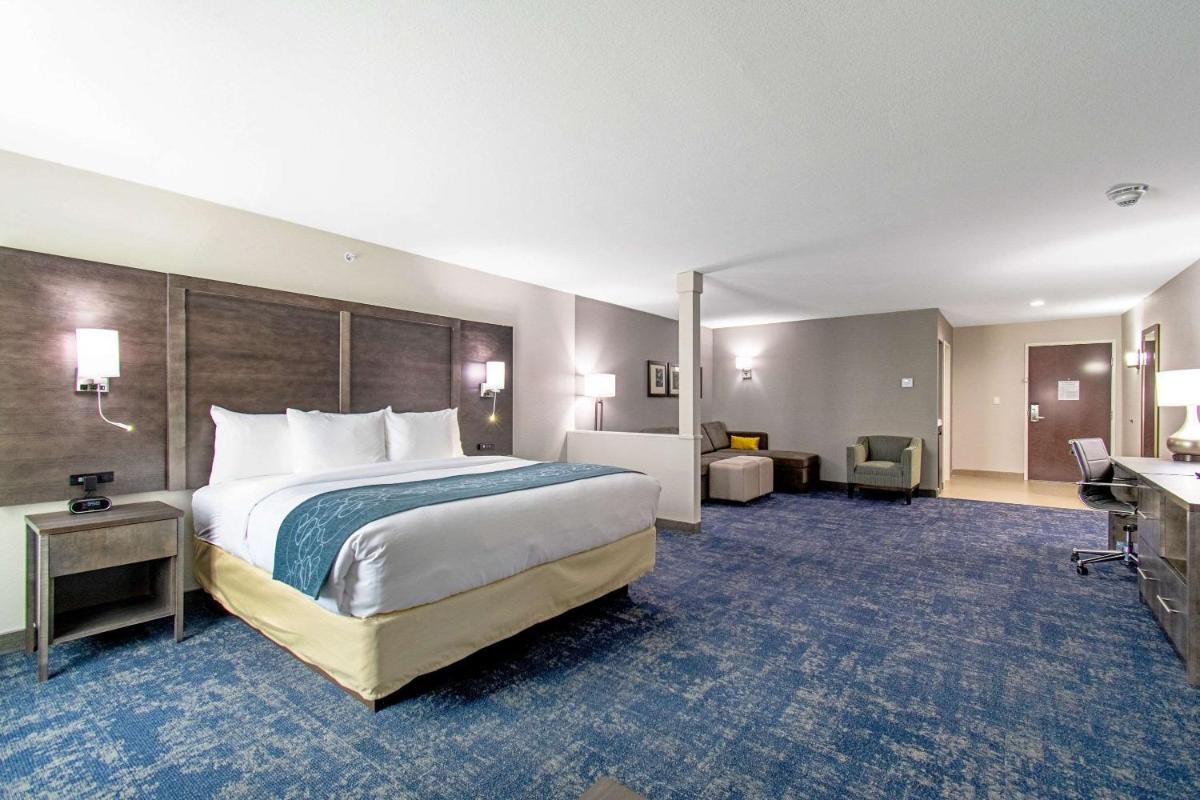 Comfort Suites Humble Houston at Beltway 8 - image 4
