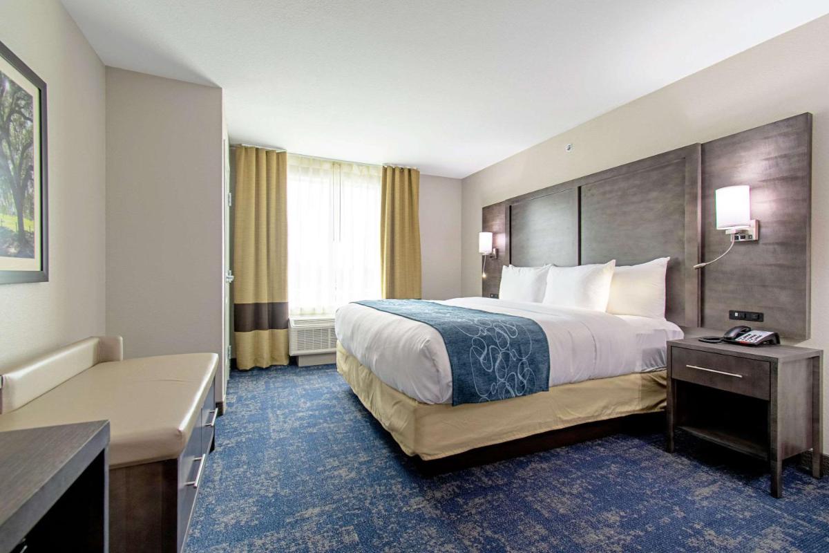 Comfort Suites Humble Houston at Beltway 8 - image 5