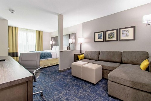 Comfort Suites Humble Houston at Beltway 8 - image 6