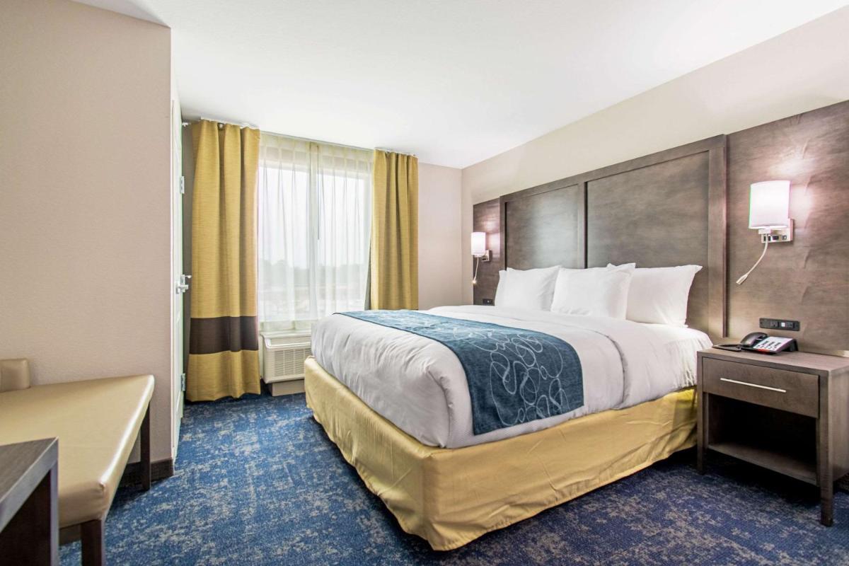 Comfort Suites Humble Houston at Beltway 8 - image 7