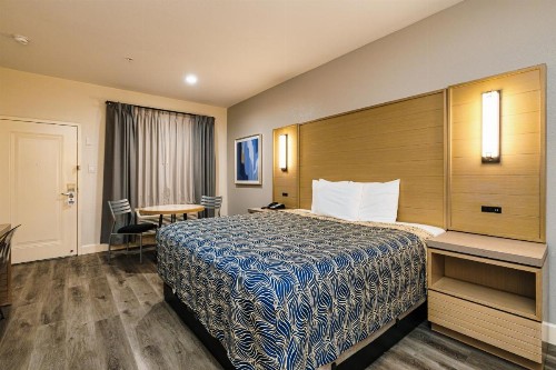 Palace Inn Blue-IAH East - image 2