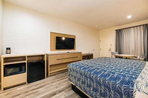 Palace Inn Blue-IAH East - image 3
