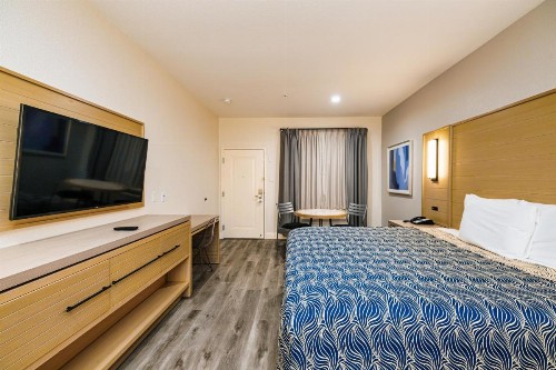 Palace Inn Blue-IAH East - image 7
