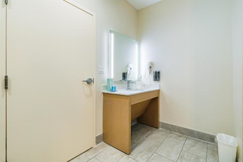 Palace Inn Blue-IAH East - image 8