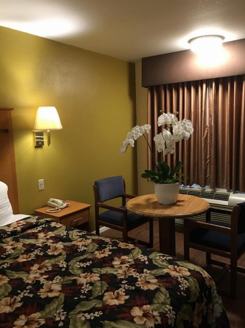 OceanView Motel - image 11