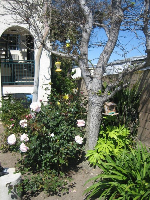 OceanView Motel - image 18