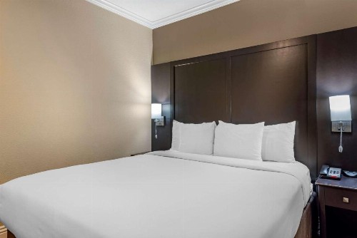 Comfort Inn & Suites Huntington Beach - image 9