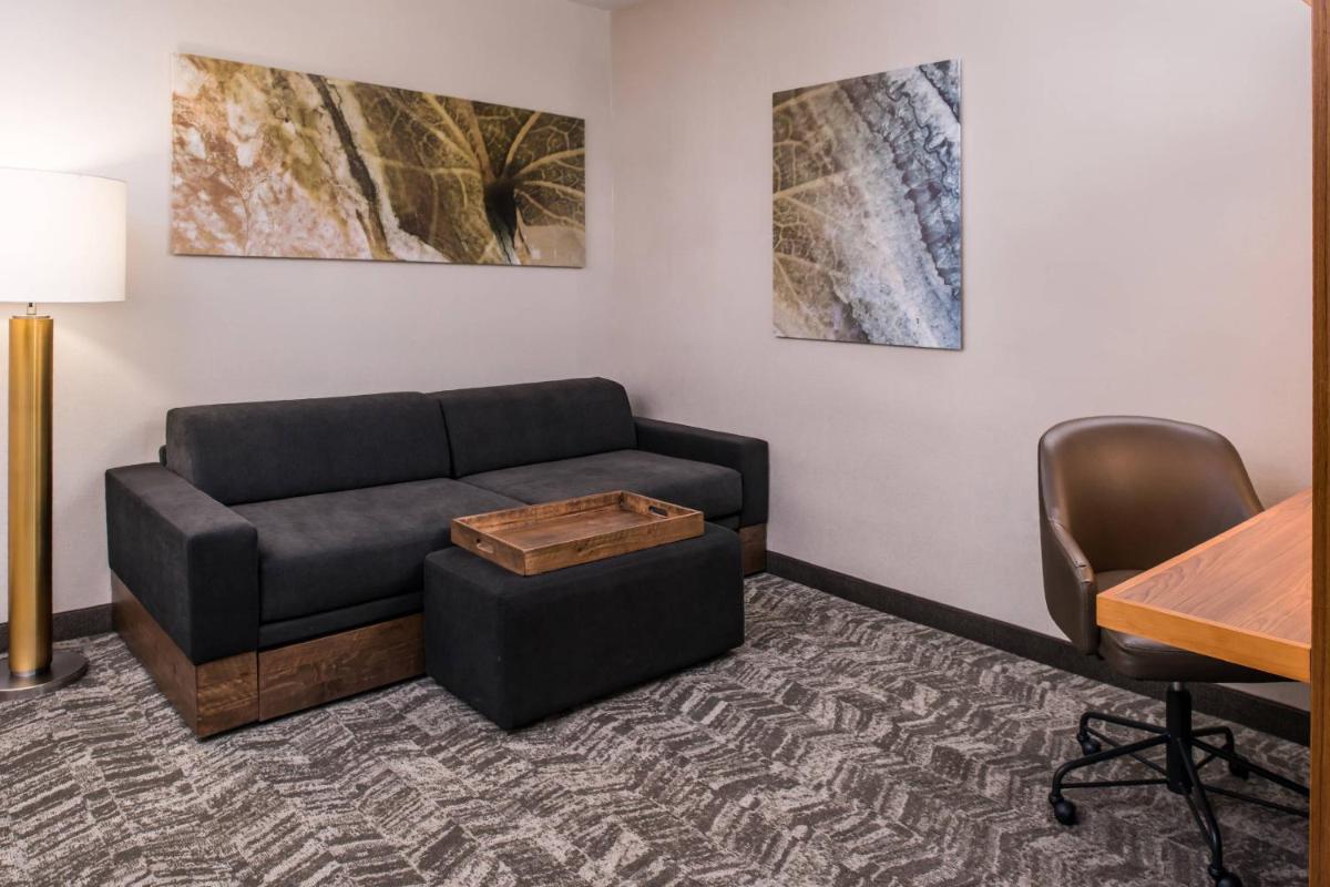 SpringHill Suites by Marriott Huntsville Downtown - image 5