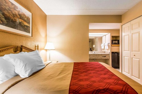 Econo Lodge Inn & Suites - image 15