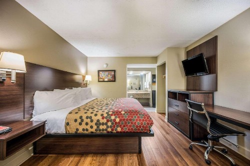 Econo Lodge Inn & Suites - image 29