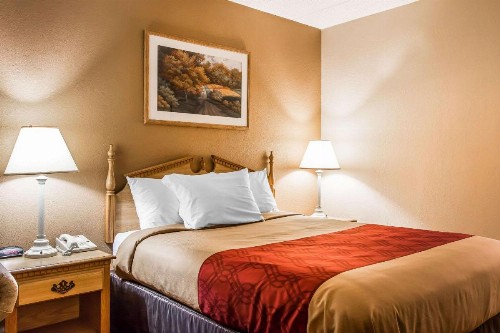 Econo Lodge Inn & Suites - image 8