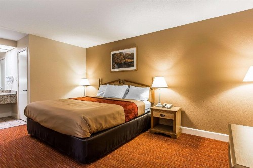Econo Lodge Inn & Suites - image 9