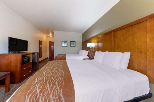 Comfort Inn Huntsville near University - image 10