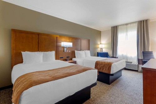 Comfort Inn Huntsville near University - image 11
