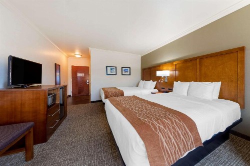 Comfort Inn Huntsville near University - image 12