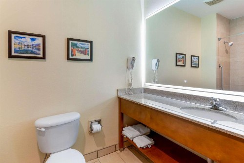 Comfort Inn Huntsville near University - image 13