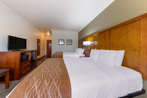 Comfort Inn Huntsville near University - image 49