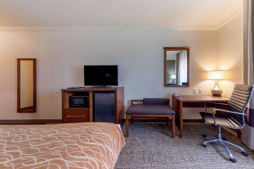 Comfort Inn Huntsville near University - image 6