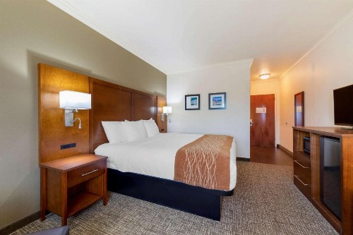 Comfort Inn Huntsville near University - image 7