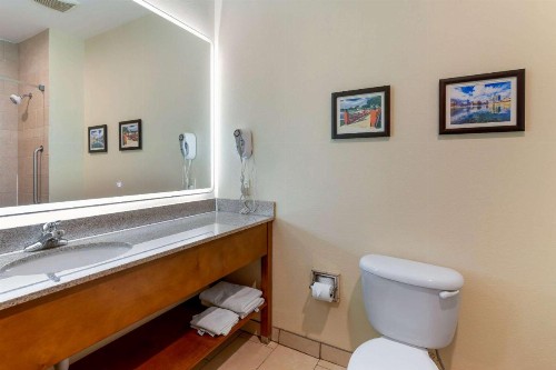 Comfort Inn Huntsville near University - image 9
