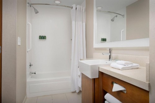 SpringHill Suites by Marriott Huntsville West/Research Park - image 18