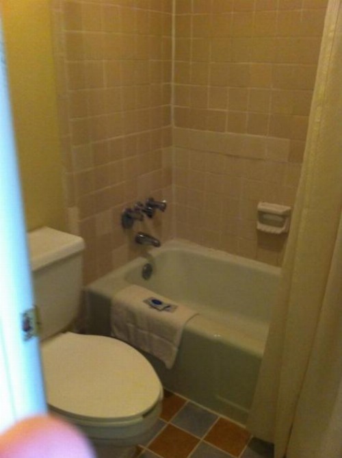 Gold Inn - image 15