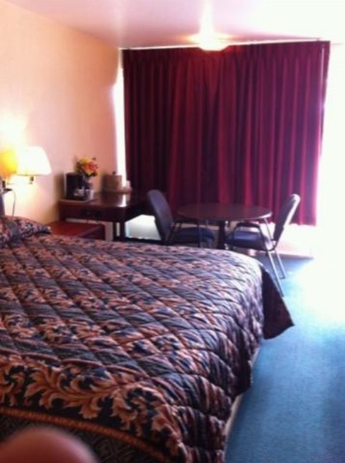 Gold Inn - image 17