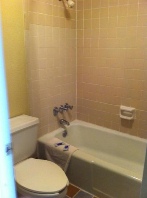 Gold Inn - image 2
